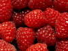 #378-normal_Berries